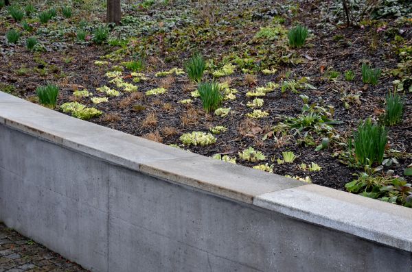 Concrete Wall Construction in Hendersonville