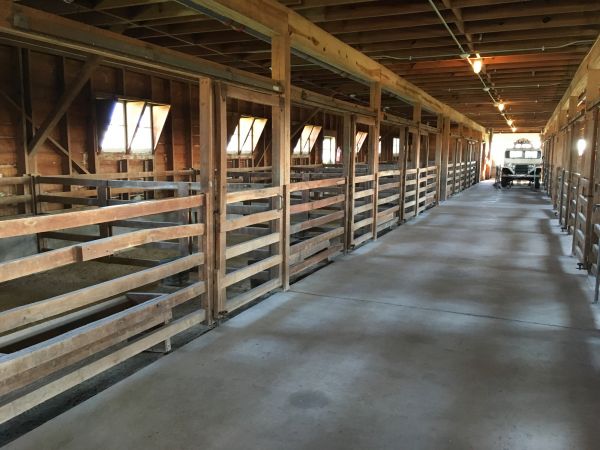 Barn Slab Construction