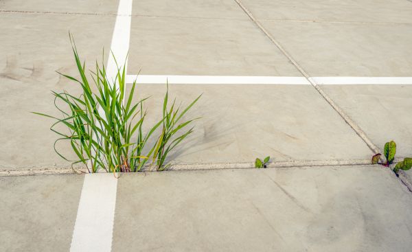 Concrete Parking Installation in Hendersonville